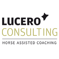 Wir haben bereits Filme produziert für Lucero Consulting